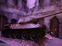 img_danzig201811_073