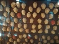 img_danzig201811_182