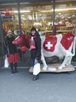 img_luzern201812_077