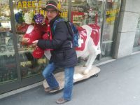 img_luzern201812_106