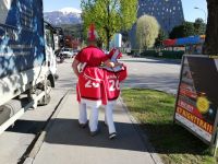 ateam-herren_wmvorbereitung_201904_0595